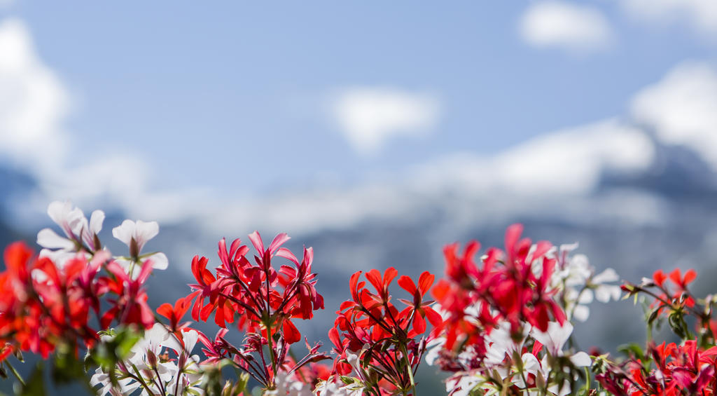 Artemis Easy Stay Self Check In-Out Saas Fee Εξωτερικό φωτογραφία