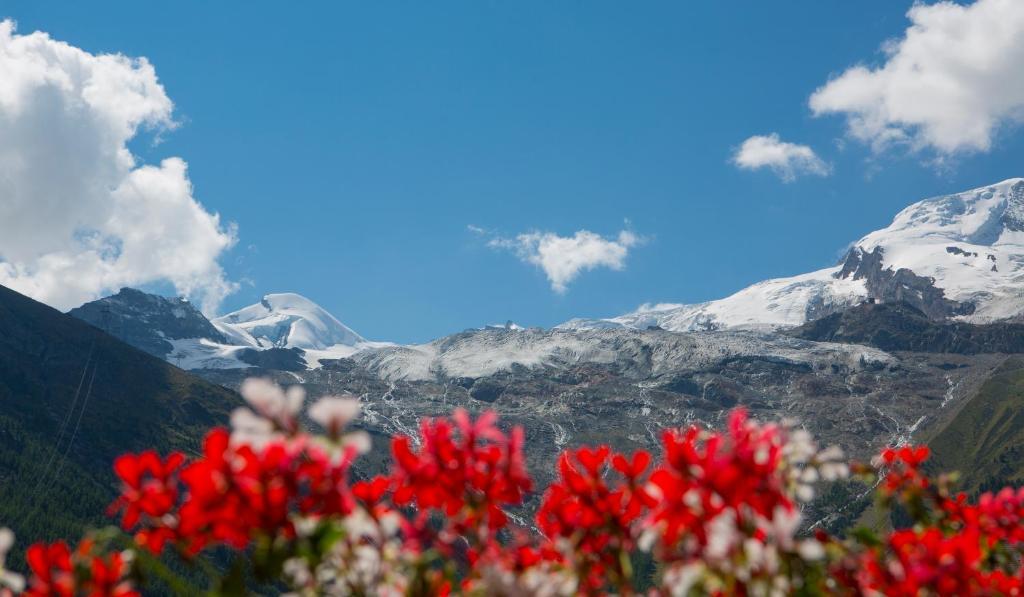Artemis Easy Stay Self Check In-Out Saas Fee Δωμάτιο φωτογραφία